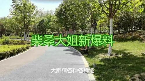 柴桑大姐爆料最新进展,揭秘事件背后惊人真相！