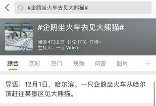 热点爆料话题大全最新版,最新版大全深度解析