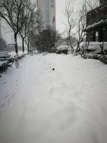 西安爆料大雪视频大全最新,最新视频大全捕捉冬日美景与挑战瞬间”